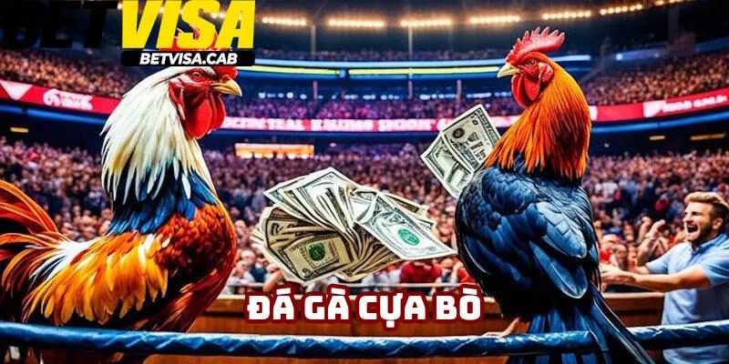 Đá Gà Cựa Bò Betvisa: Cập Nhật Kiến Thức Cho Tân Binh 2025