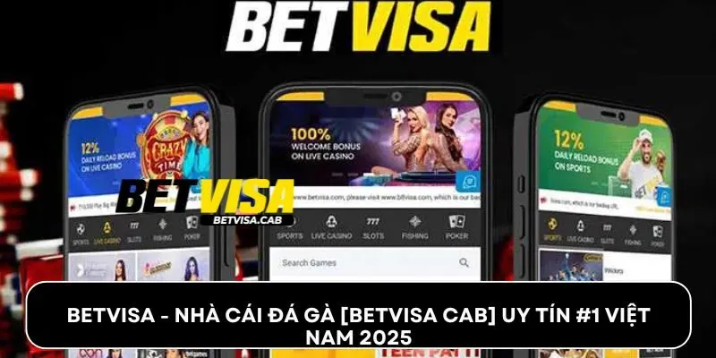 Betvisa - Nhà cái đá gà [Betvisa Cab] uy tín #1 Việt Nam 2025
